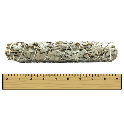 White Sage Smudge Stick 9 inch Large